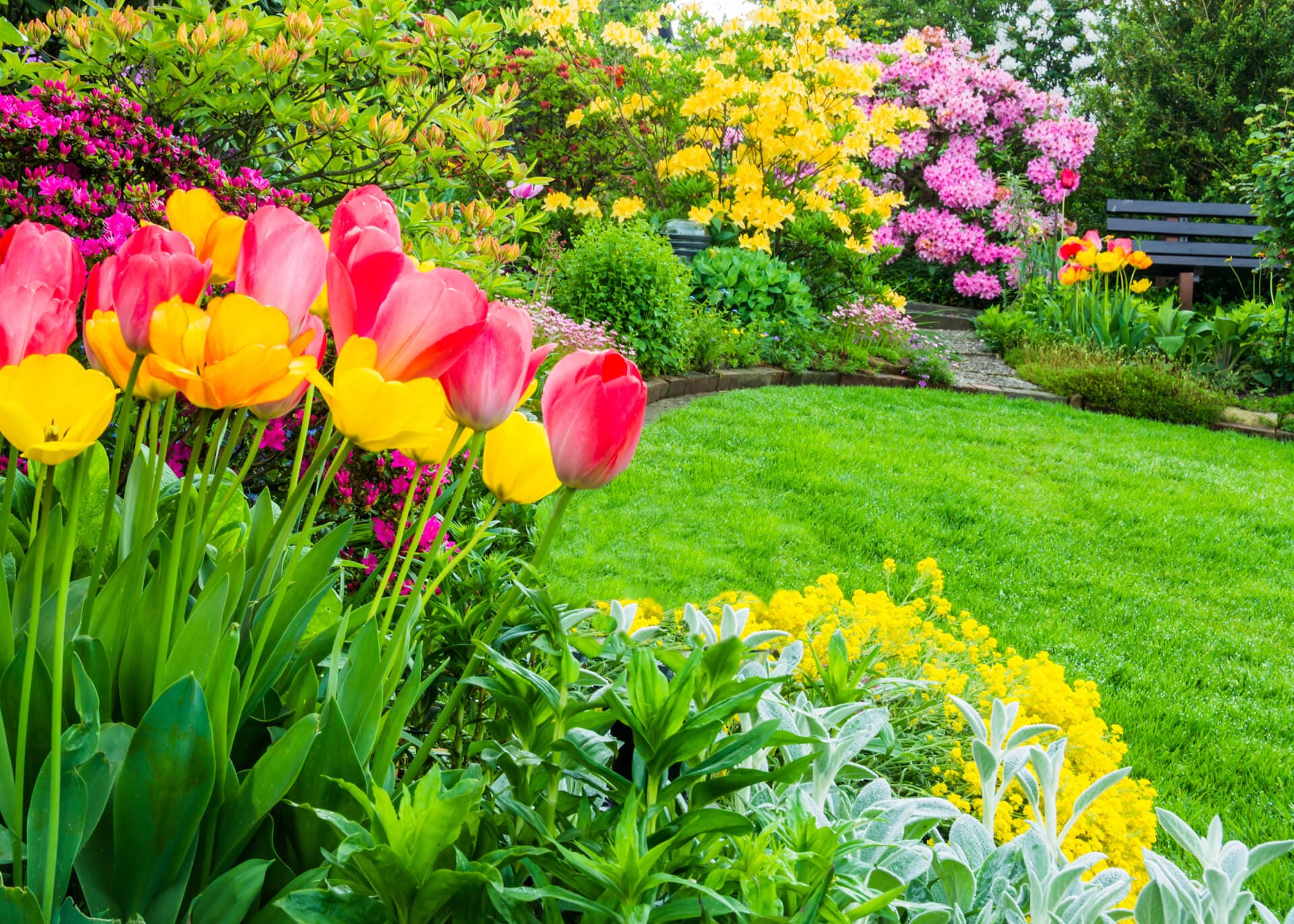 Jardín lleno de flores.